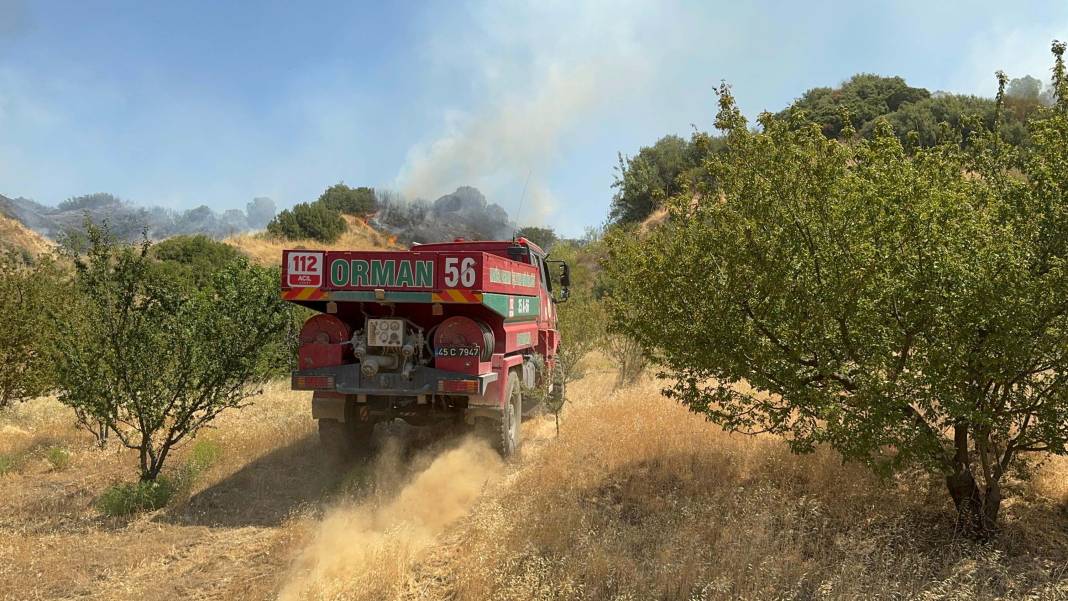 Manisa'da orman yangını 6